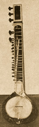 A long string instrument with many strings attached.